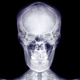 Image for article titled Here's a handy primer on why humans don't have exoskeletons